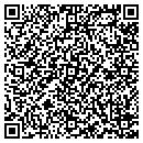 QR code with Proton Data Security contacts