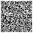 QR code with Prysm Technology Inc contacts