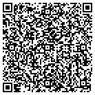 QR code with Public Strageties Inc contacts