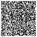QR code with Premier Designs contacts