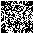 QR code with Pyramid Studios contacts
