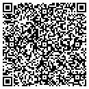 QR code with Professional Hermetics contacts