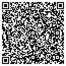 QR code with Pruitt Auto Sales contacts