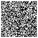 QR code with Premiere Vue Inc contacts