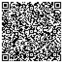 QR code with Promise Painting contacts