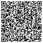 QR code with Pump & Process Equipment contacts