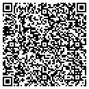 QR code with Pyramid Realty contacts