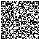 QR code with Premier Homes Realty contacts