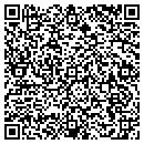 QR code with Pulse Pilates Studio contacts