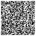 QR code with Professional Dental Mfg contacts
