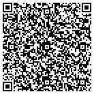 QR code with Puff N Stuff Pet Salon contacts