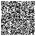 QR code with Dlfs Co contacts