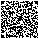 QR code with Pseudo Clothing Inc contacts