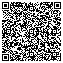 QR code with Carpet Pro of Brevard contacts
