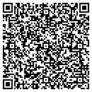 QR code with Pulcinella Inc contacts
