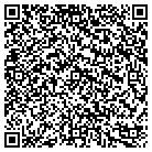 QR code with Publix Super Market 384 contacts