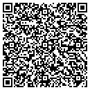 QR code with Professional Wireless contacts