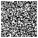 QR code with Cummins & Nailos PA contacts