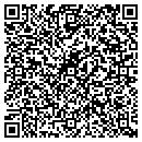 QR code with Colorful Accents Inc contacts