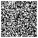 QR code with Carelocks Used Cars contacts