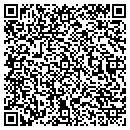 QR code with Precision Satellites contacts