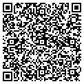 QR code with Alltel contacts