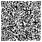 QR code with Pugliese 200 Group Inc contacts