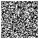 QR code with Cleaner Services LLC contacts