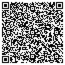 QR code with Production Partners contacts