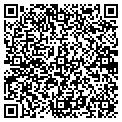 QR code with Nefec contacts