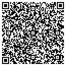 QR code with Pretty Walls contacts