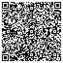 QR code with Pvg Graphics contacts