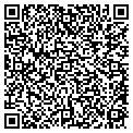 QR code with M Signs contacts