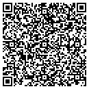 QR code with Premier Ground contacts