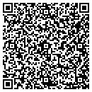 QR code with Cyber Fiber Inc contacts