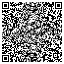 QR code with Premium Computer contacts