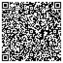 QR code with Carey Painting Inc contacts
