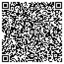 QR code with Cjn Construction Inc contacts