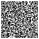 QR code with Cyndes Minis contacts