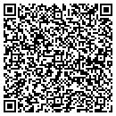 QR code with Cyclone Packing Co contacts