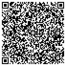 QR code with Blue Heron Fina Inc contacts