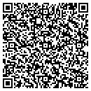 QR code with Priceless Realty contacts