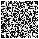 QR code with Chains and Belts Inc contacts