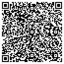 QR code with Pyramid Lawn Service contacts