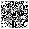 QR code with WINllc contacts