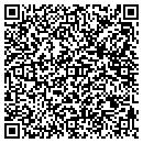 QR code with Blue Lion Mktg contacts