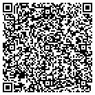 QR code with Brian Alaway Consulting contacts