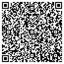 QR code with Brian J Davis contacts
