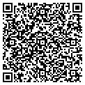 QR code with CCGLLC contacts