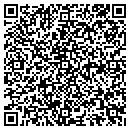 QR code with Premiere Home Team contacts